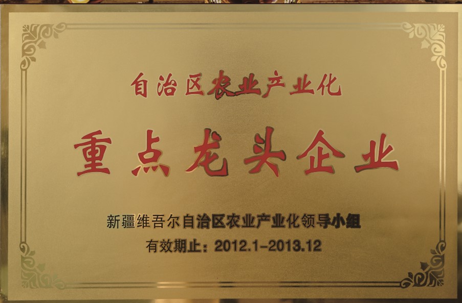 自治区农业工业化重点龙头企业
