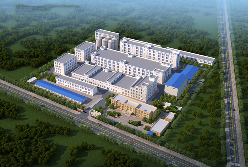 好情形，好工艺，好面条 | 新疆盛康德发食物科技有限公司诚招天下经销商